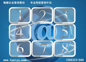 臨沂互聯(lián)網(wǎng)營銷與軟件銷售推薦公司指南
